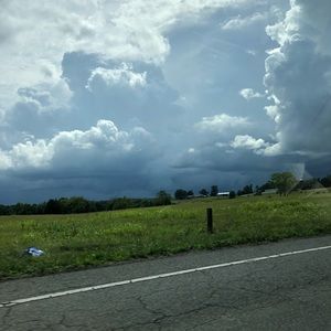 Meet your Posher, Grace